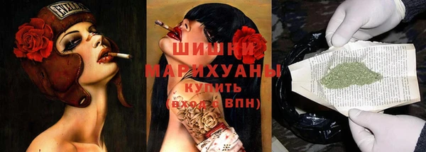 PSILOCYBIN Богданович