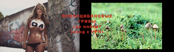 мдпв Бородино