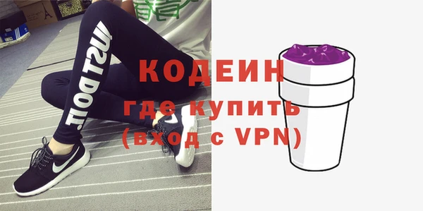 мдпв Бородино