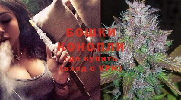 мдпв Бородино