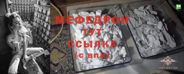мдпв Бородино