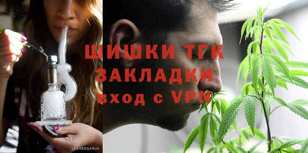 мдпв Бородино
