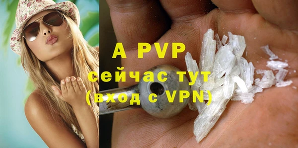 мдпв Бородино