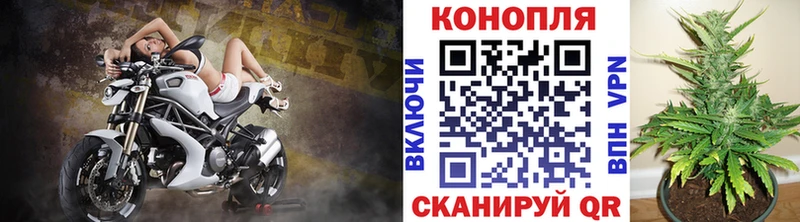 Бошки марихуана тримм  Купить  Белово 